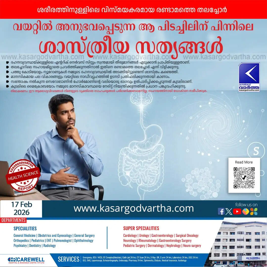 science behind gut feeling and second brain