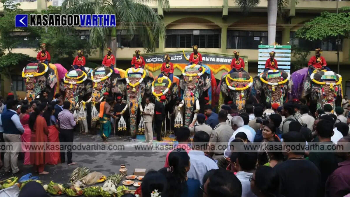 Representational image of the traditional welcome given to the first batch of Dasara elephants at Mysuru Palace