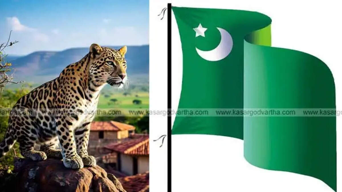  Tiger threat in Mulyar Panchayat