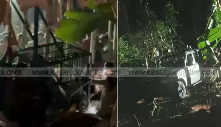 Leopard Trapped in Pond in Kodavalath, Pullur-Periya Panchayat
