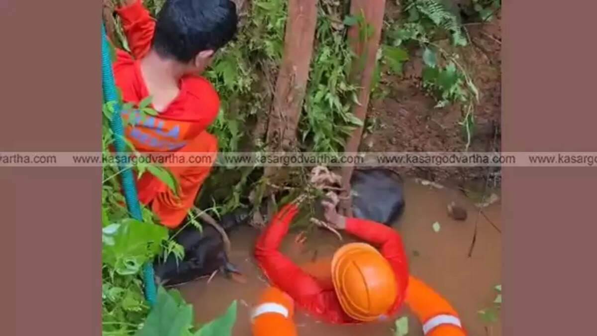 Fire and Rescue Services personnel rescuing a cow from a well in Kasaragod.