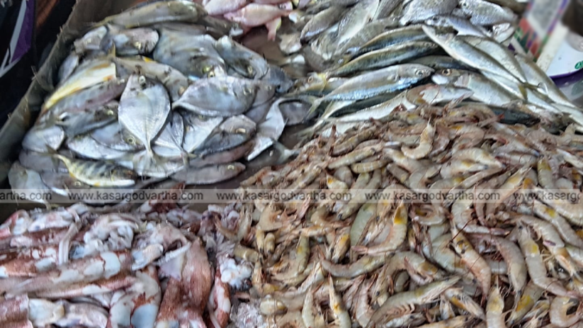 Rough sea view and heavy rain in Kasaragod coast.