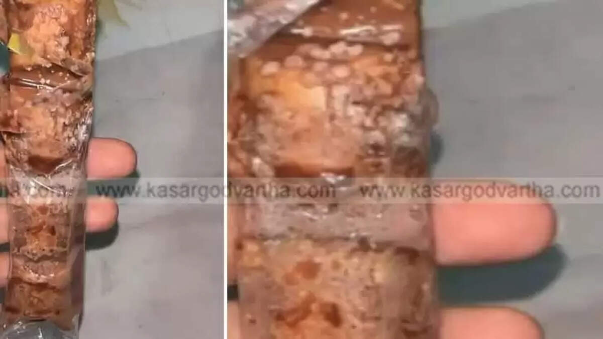 Worms Found in Birthday Chocolates from New Bakery in Manjeshwaram; Woman Complaining Alleges Threat