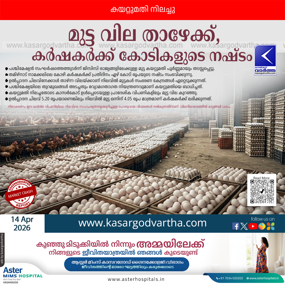 egg price drop namakkal farmers loss west asia conflict
