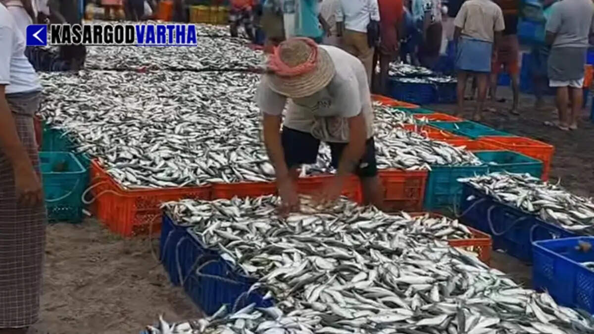 Shoppers at a local fish market