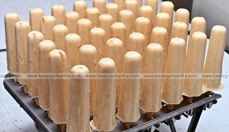 A large batch of creamy, kulfi-style frozen popsicles on wooden sticks, arranged upright in a metal industrial cooling rack.