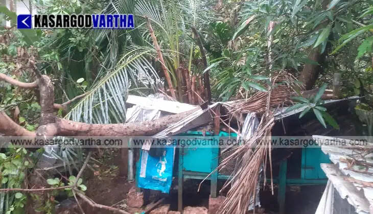 The damaged roof of the agricultural museum at RARS Pilicode after the severe storm.