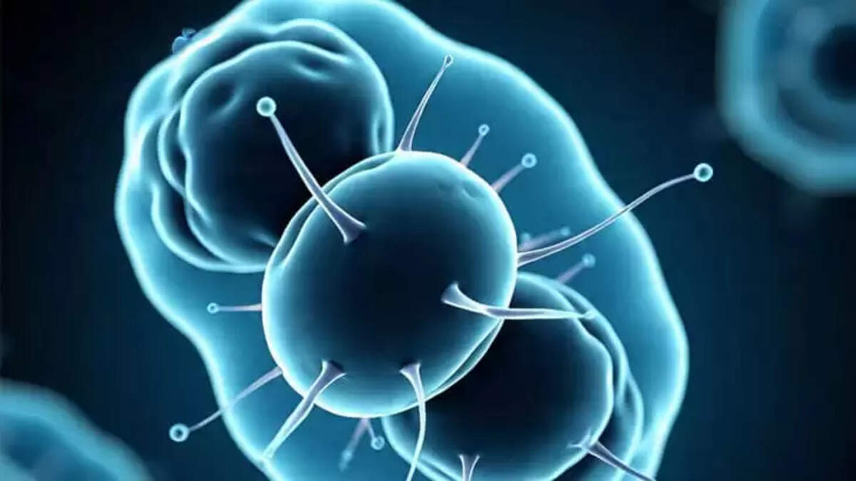 Brain-Eating Amoeba Spreads in Kozhikode, Sources Suspected in Wells and Ponds, Health Department Issues Alert