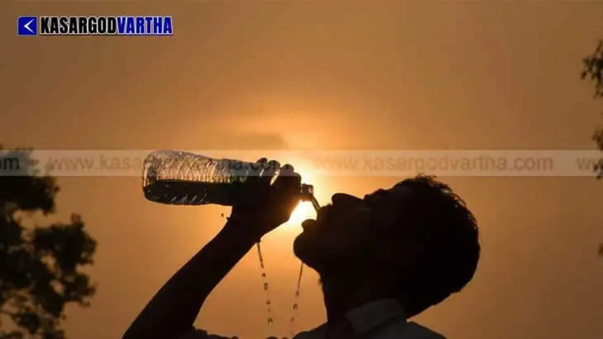 Image Representing Rising Temperatures in Kerala Kasaragod Included
