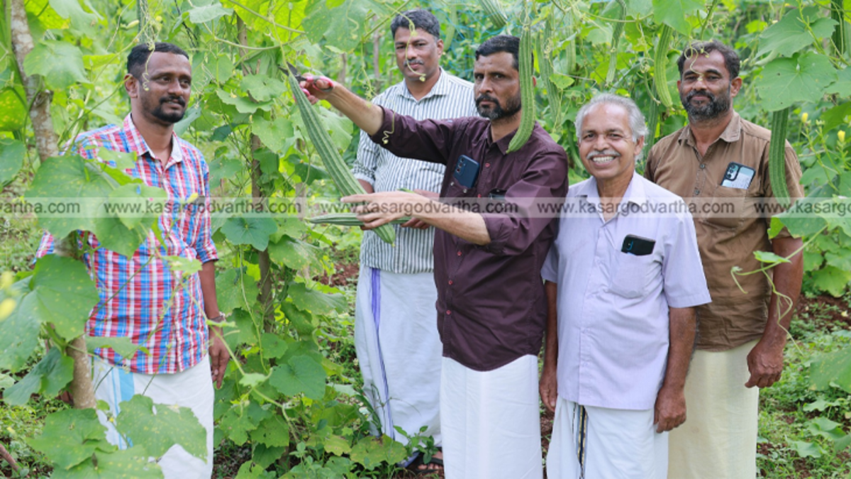 P Radhakrishnan and P Manjunathan with their vegetable harvest.