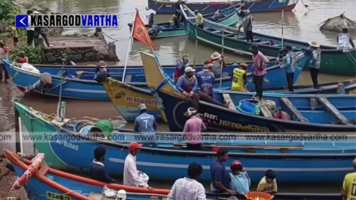 Conceptual image representing abundant fish catch in Manjeshwaram market