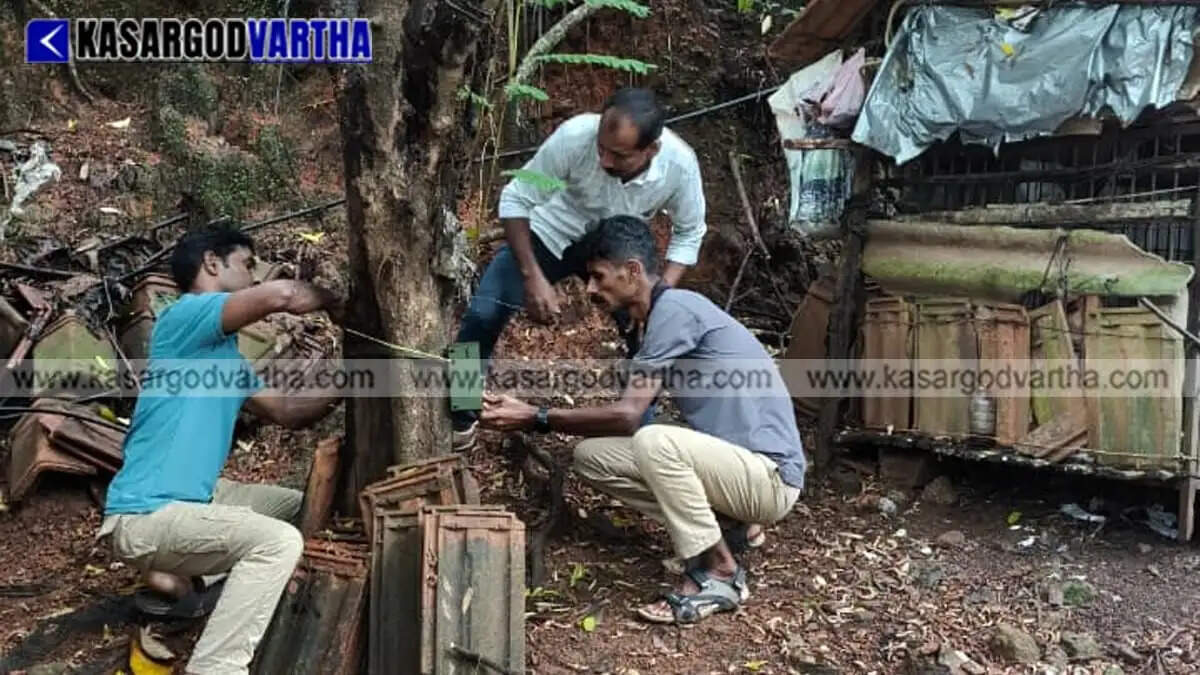 Pet dog found partially eaten in Panathur Pariyaram; forest department sets up surveillance cameras suspecting leopard attack