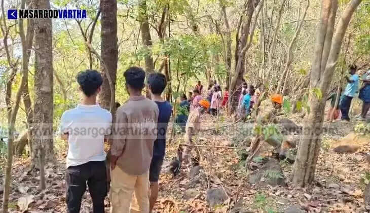 Massive Fire in Konnakkad Kammadi Forest