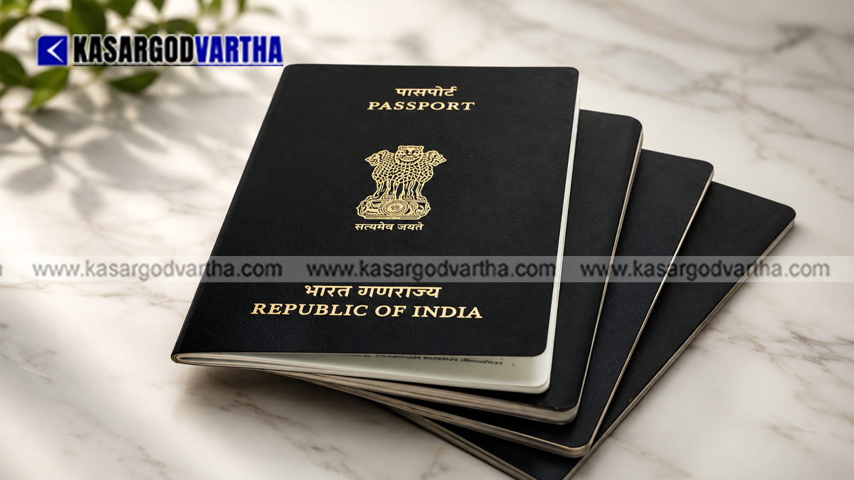 Indian passport booklet