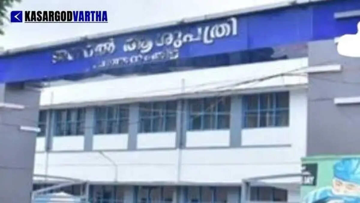 Jackfruit Falls on Patient Waiting for Medicine at Pathanamthitta General Hospital