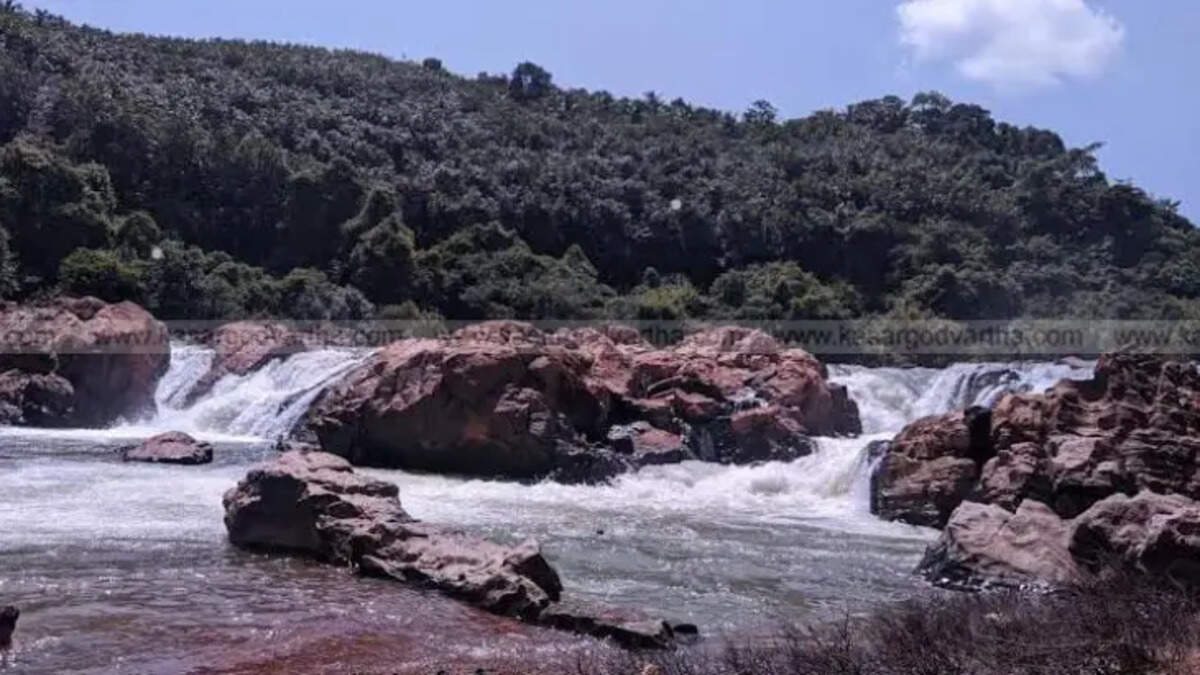 bridge construction delayed in maniyampāra frustrating loca