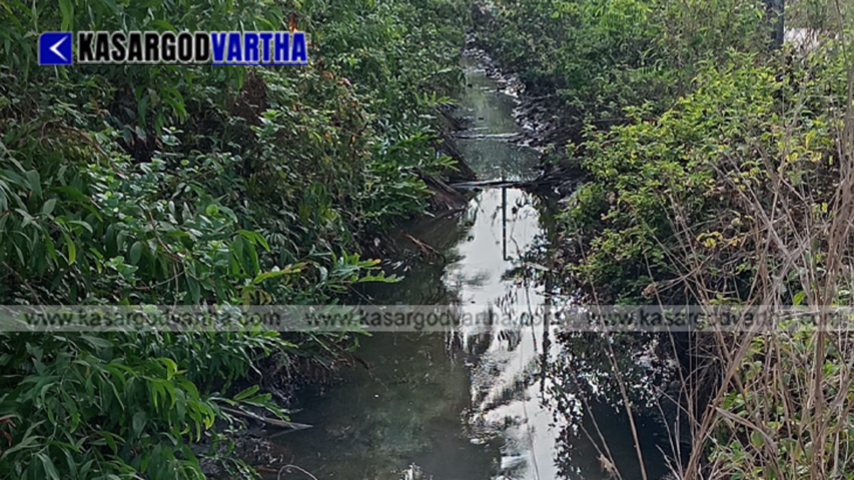 Plastic waste accumulating in roadside drains posing a flood risk.