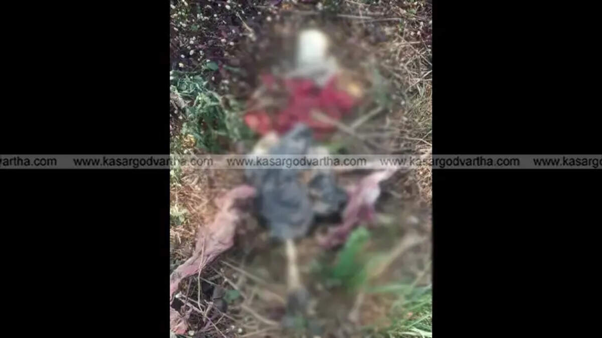Human skeleton found near Shiriya railway track in Kumbala.