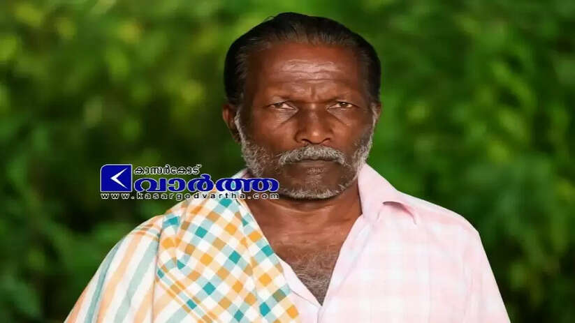 Elderly Man Killed in Nileshwaram Kumballappally; Neighbour and Relative Taken into Police Custod