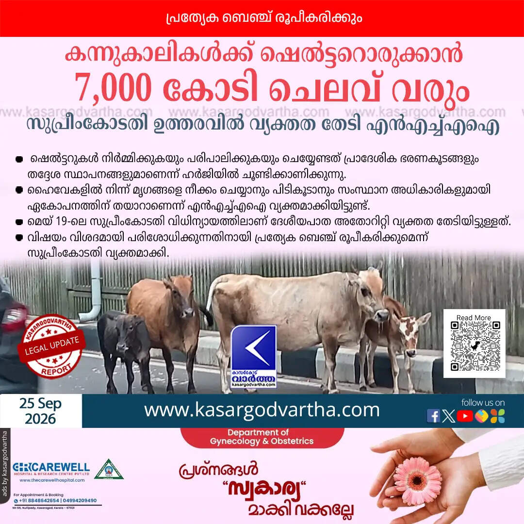 nhai seeks supreme court clarification stray cattle shelter