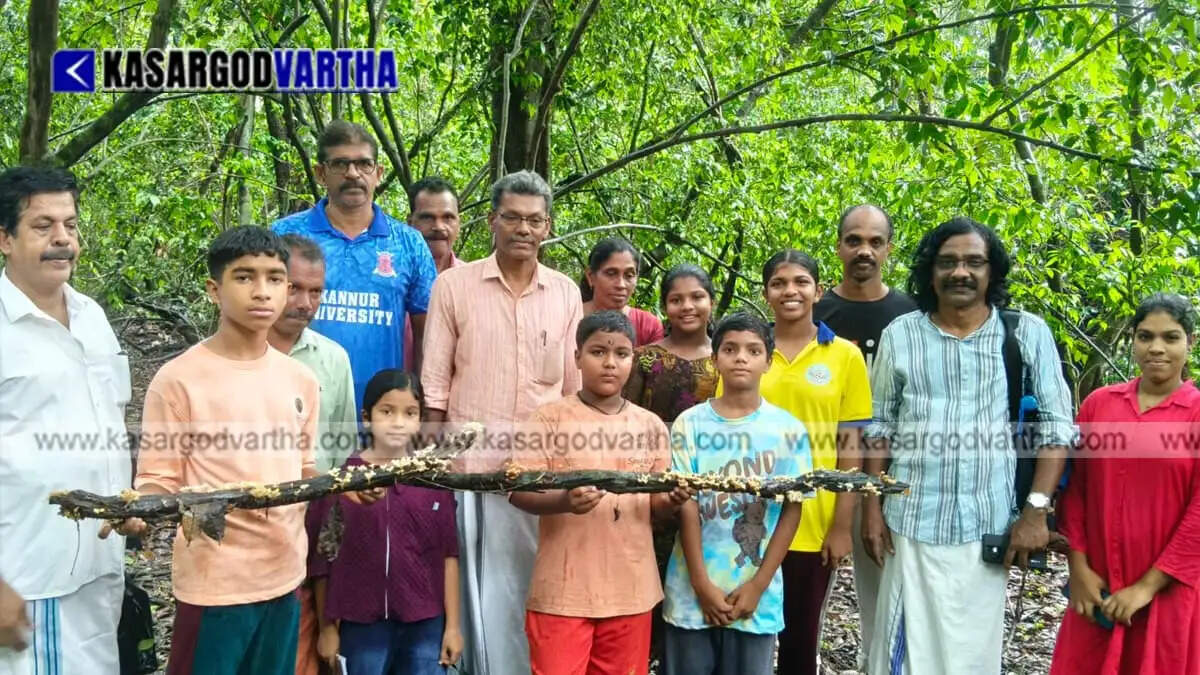  Into the sacred groves searching for monsoon's children: Library activists and children explore unique mushroom species.