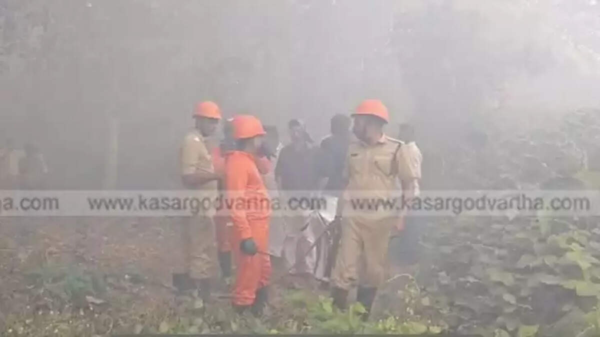 Fire Breakout at Vellarikundu Vimala Estate; 12 Coconut Trees Destroyed, Major Agricultural Loss Averted