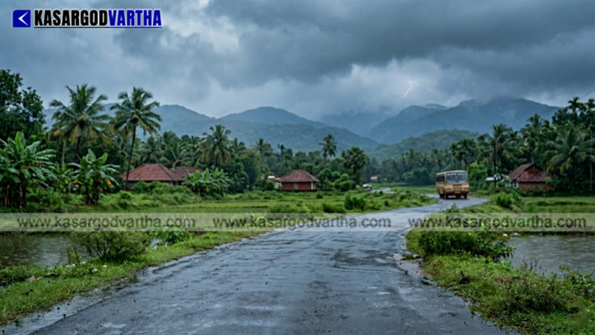 People walking with umbrellas during refreshing summer rains in Kerala.
