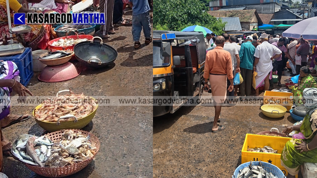 Busy fish market scene in Kasaragod