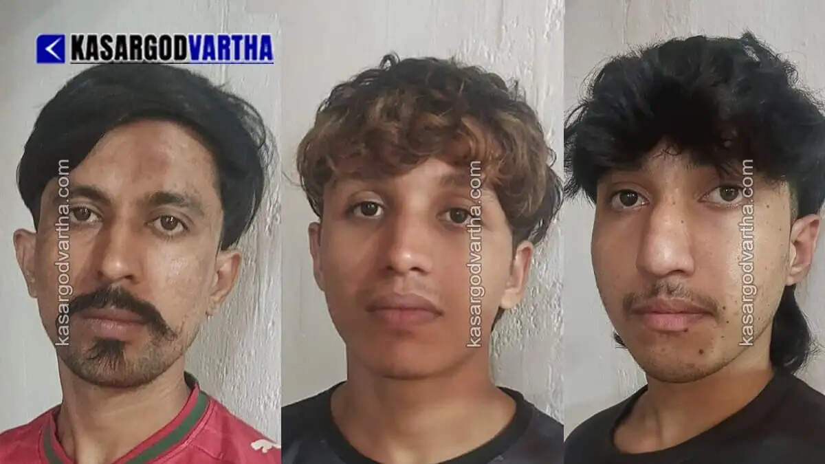 Three arrested for allegedly trying to stab police officer during vehicle inspection in Kasaragod