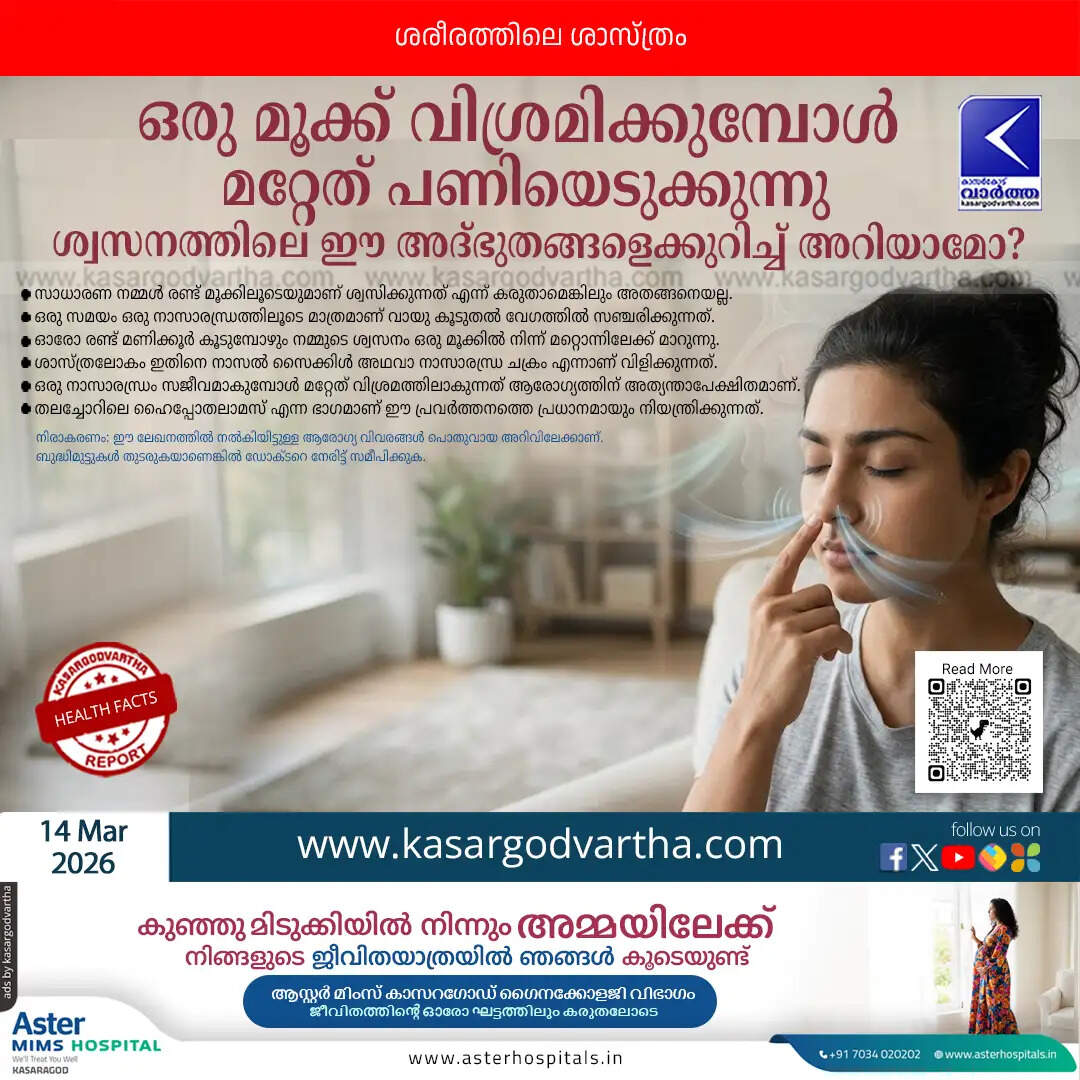 nasal cycle human breathing facts explanation malayalam