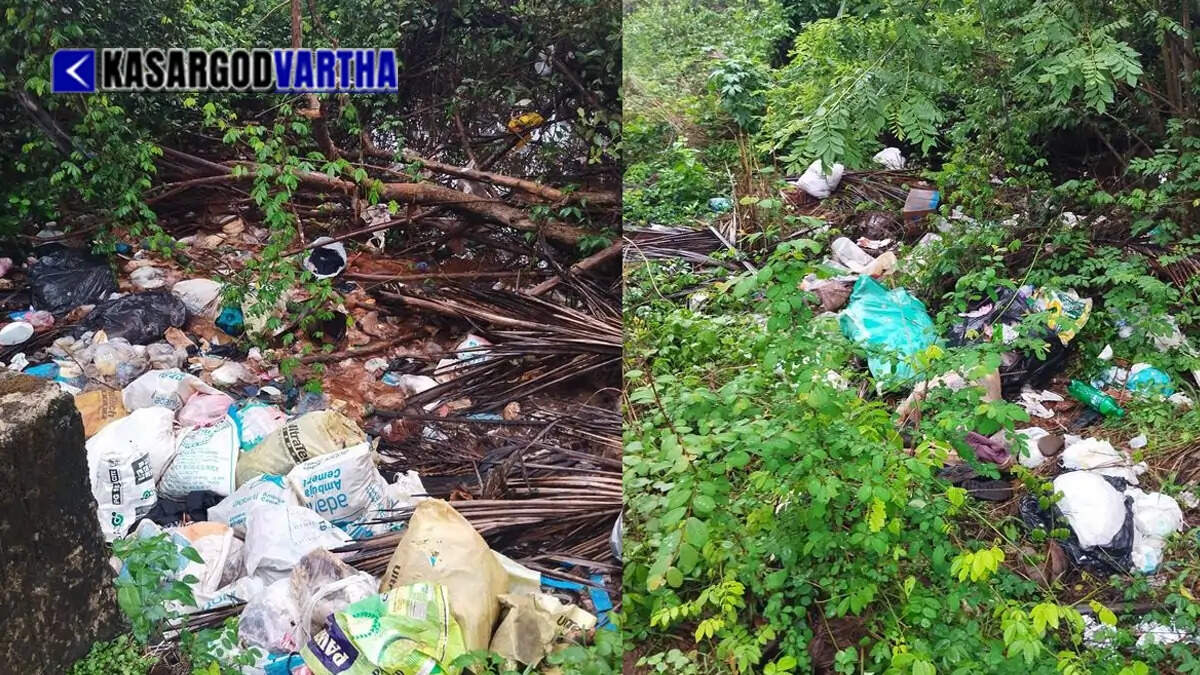 Plastic covers and domestic waste dumped carelessly along the Mogral Koppalam riverside