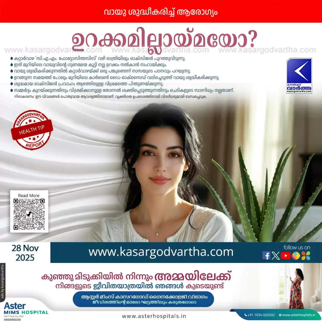 aloe vera plant bedroom cure insomnia air quality