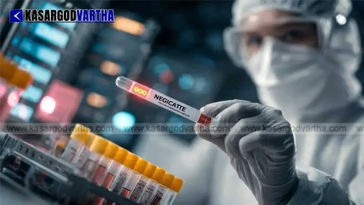  Image Representing Ebola scare eases at Bengaluru airport: Uganda native tests negative for the virus, health ministry confirms.