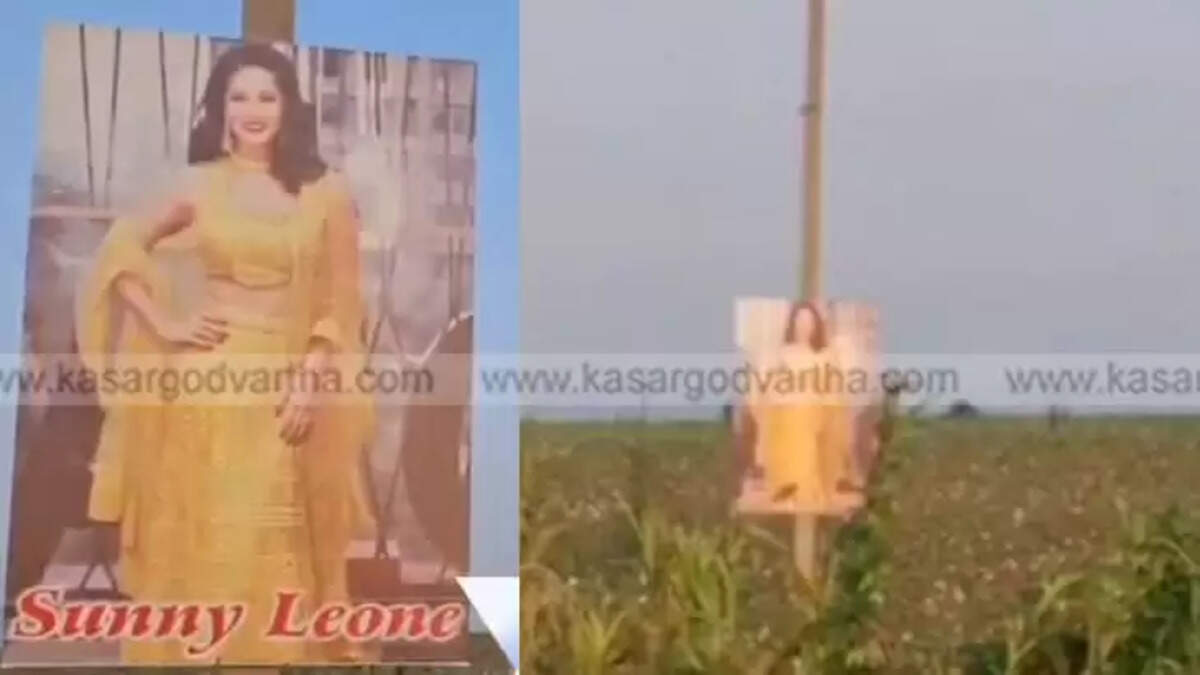 Sunny Leone Poster Used as Scarecrow in Karnataka Cotton Fields to Ward Off Evil Eye