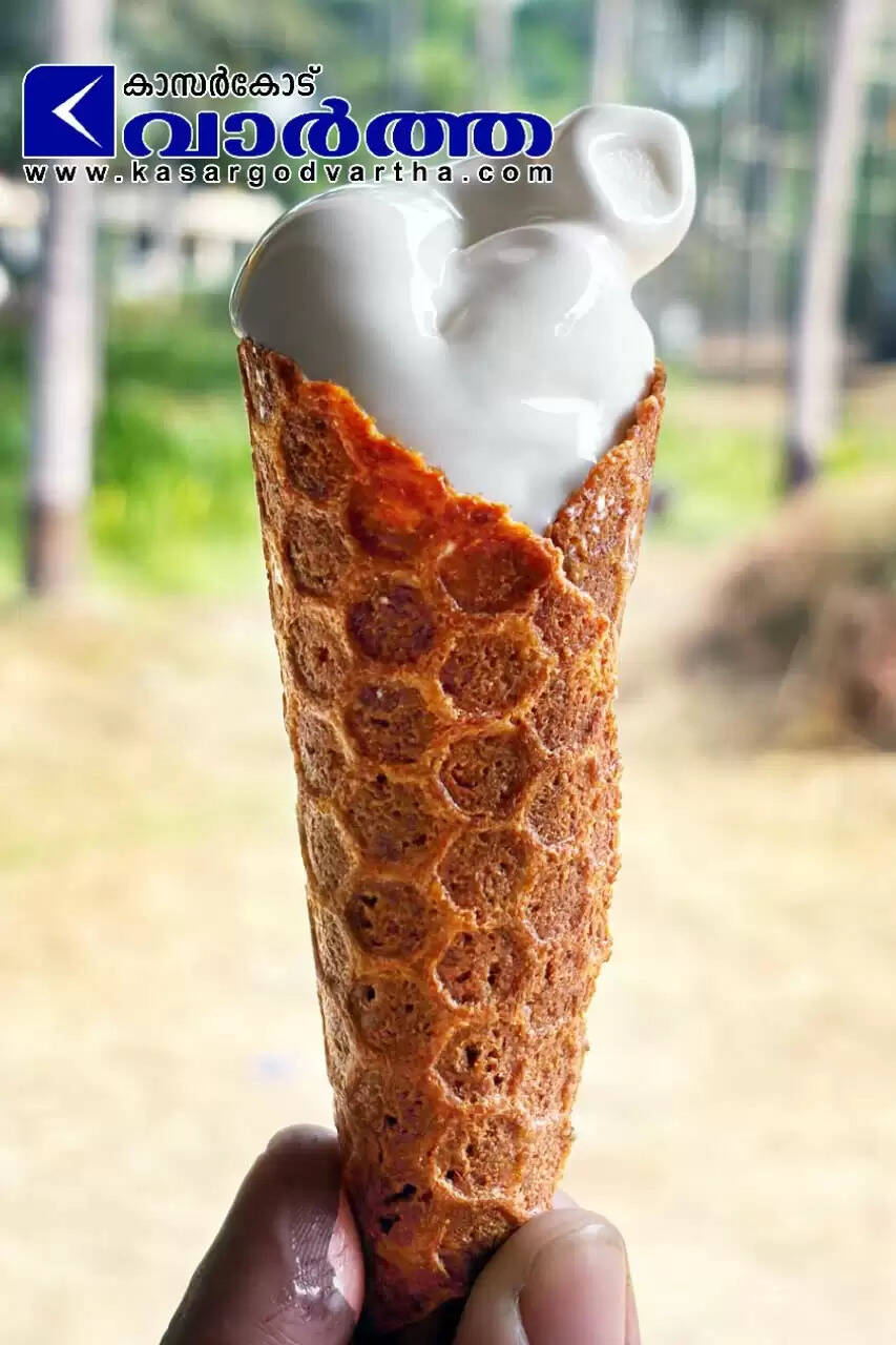 A large batch of creamy, kulfi-style frozen popsicles on wooden sticks, arranged upright in a metal industrial cooling rack.