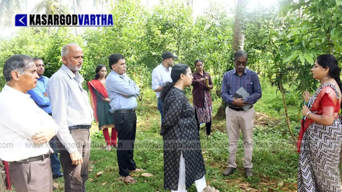 Representational image reflecting CDB CEO Deepa D Nair visiting ICAR-CPCRI in Kasaragod