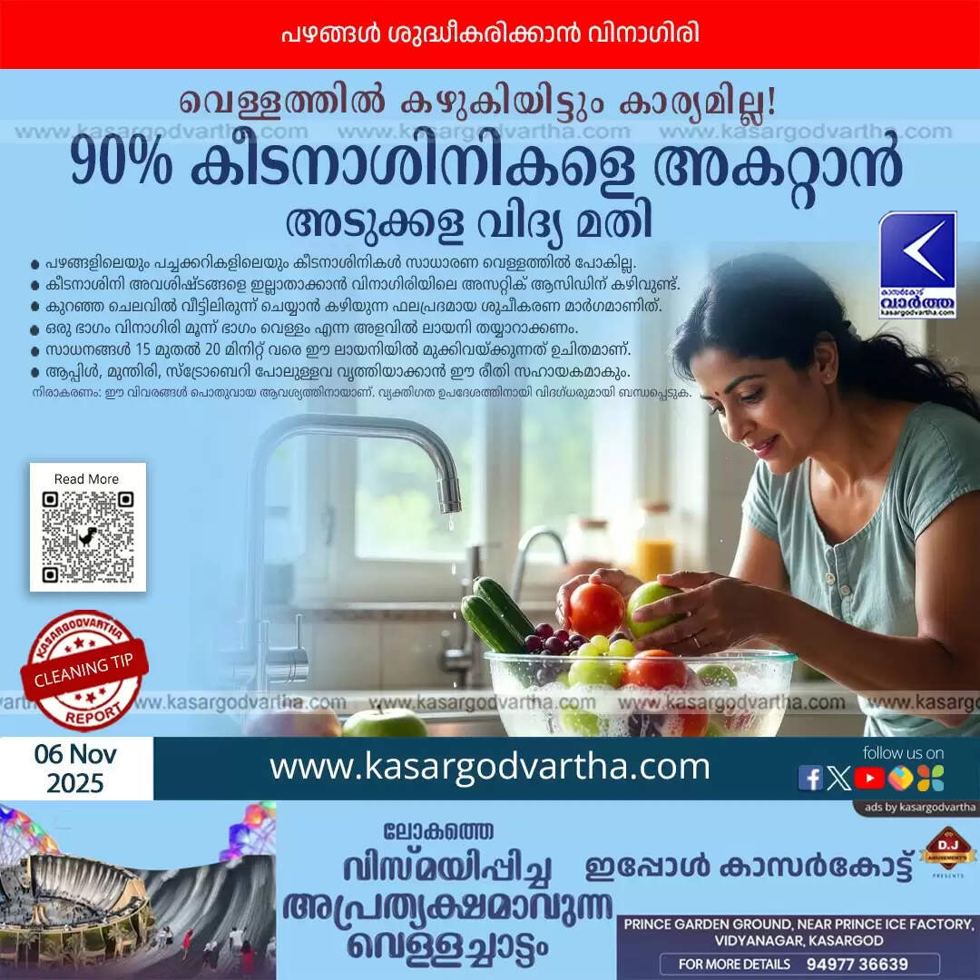 pazham pachakkari visamsham neekkam vinegar vidya