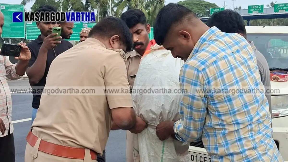 Operation Toofan: Two including interstate criminal arrested with 30 kg ganja in Kumbla