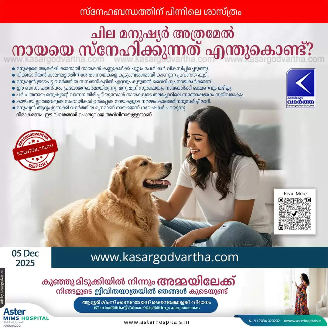 scientific reasons for human dog love