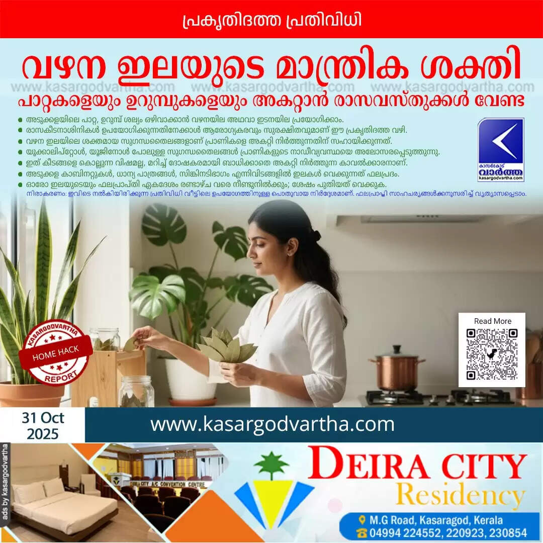 bay leaf natural pest control kitchen hack