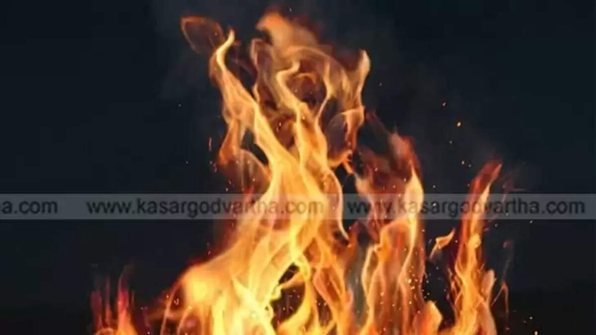 Image Representing 7-Year-Old Boy Sustains Severe Burns While Attempting to Burn Termites with Thinner