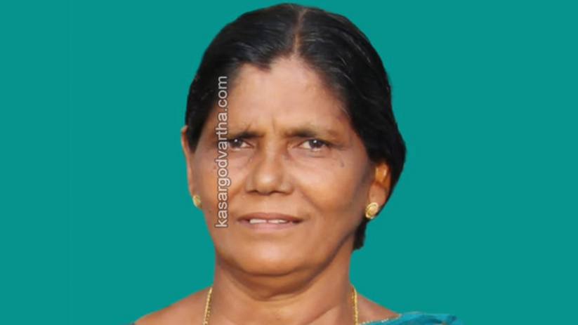  A CCTV still of the bus accident at Cheruvathur bus stand showing a woman being hit.