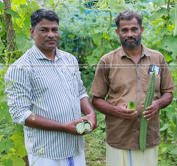 P Radhakrishnan and P Manjunathan with their vegetable harvest.