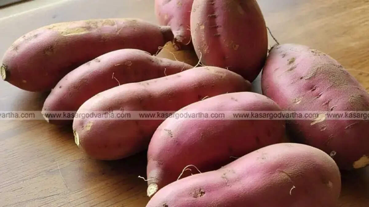 Close-up of a vibrant orange sweet potato showing its texture and color.