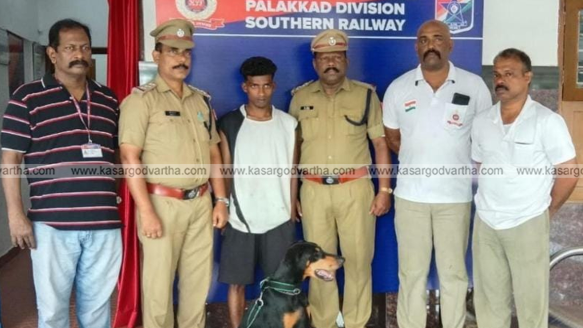 RPF tracker dog Lara near a railway track.