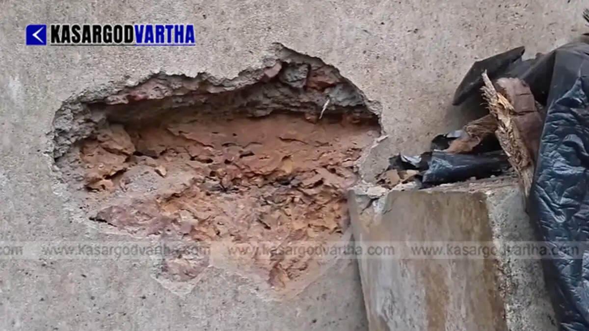 Image reflecting lightning damaged house and hardship of Manikkam in West Eleri