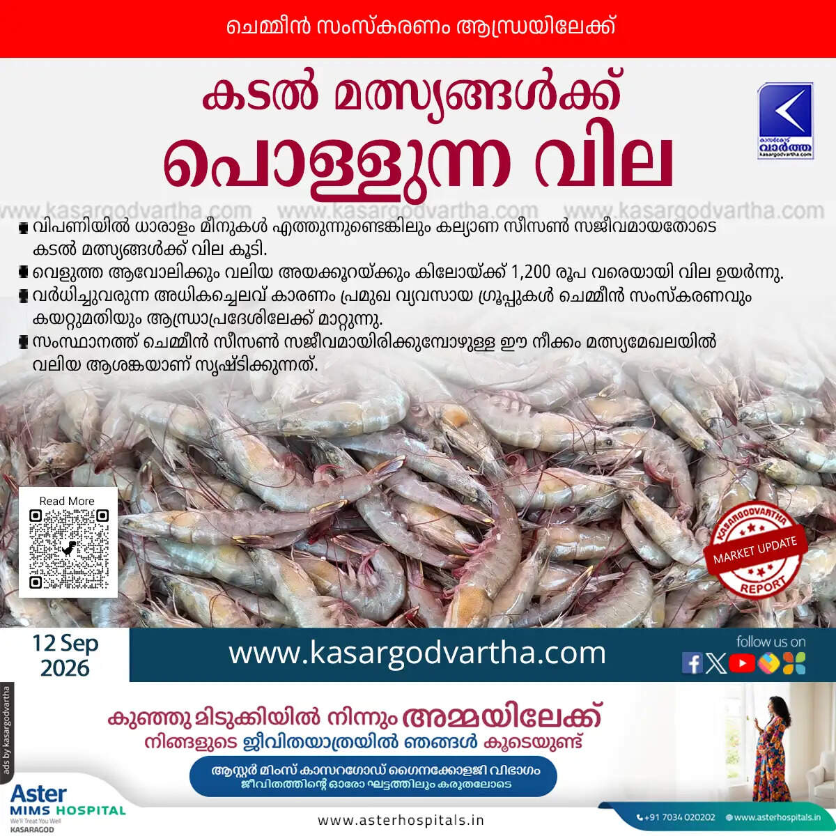 kerala sea fish prices rise shrimp processing shifted