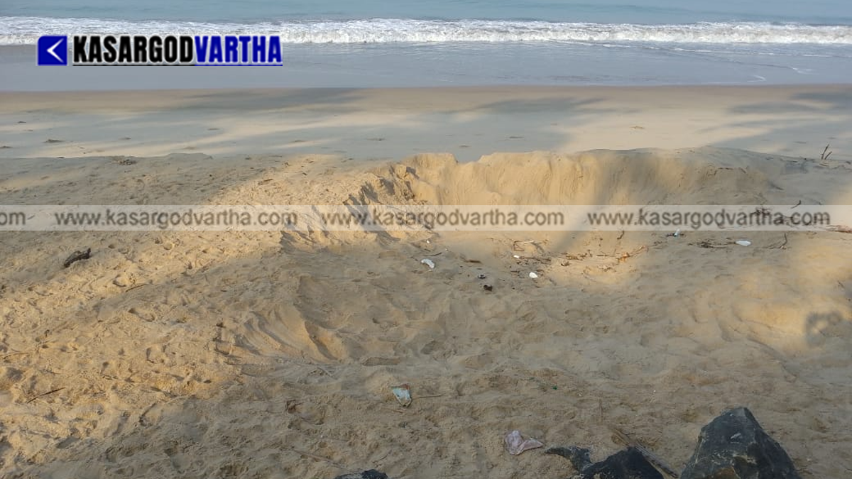  Image representation of illegal sand extraction from the shore.