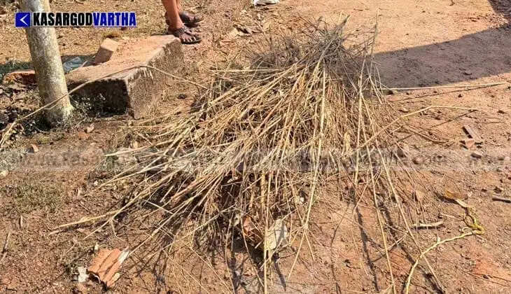 120-Year-Old House Demolition in Kasaragod Reveals Ancient Eco-Friendly Construction Brilliance