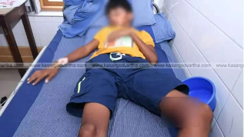 Kerala Government's Special Representative K V Thomas's 2023 Letter Supporting AIIMS for Kasargod Release